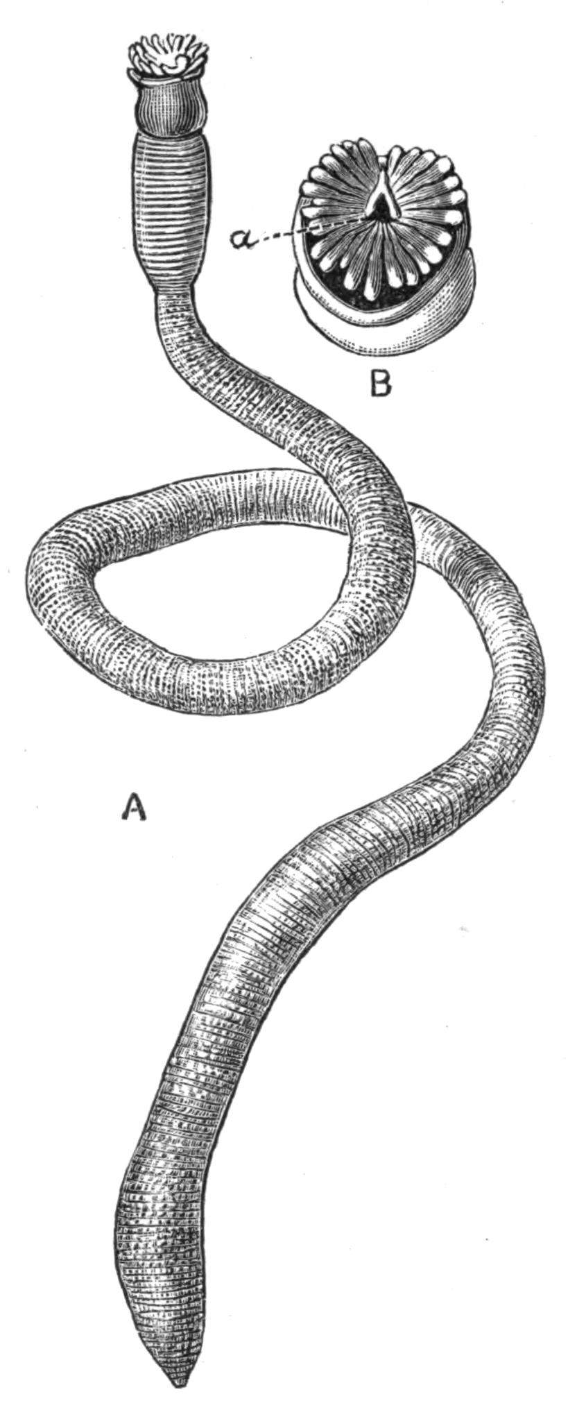 fig214