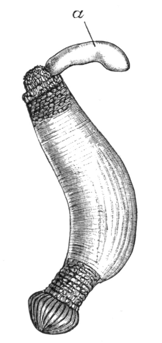fig215