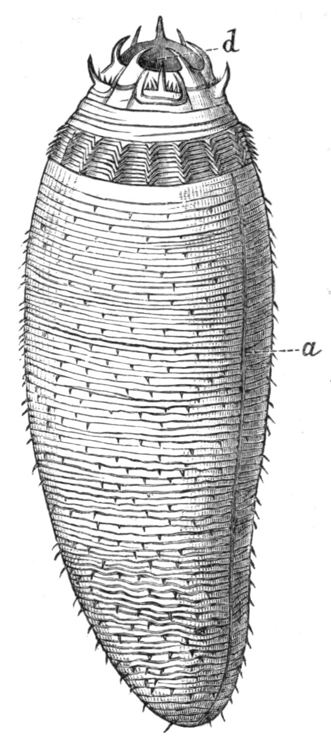 fig219