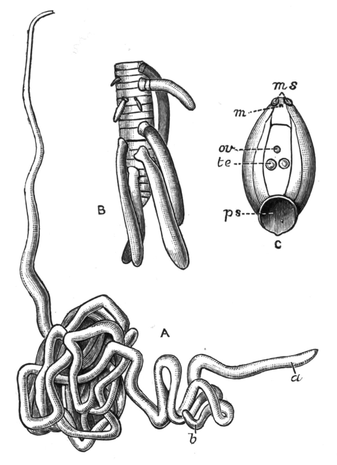 fig22