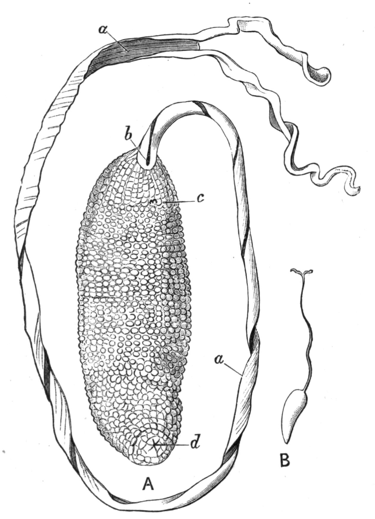 fig220