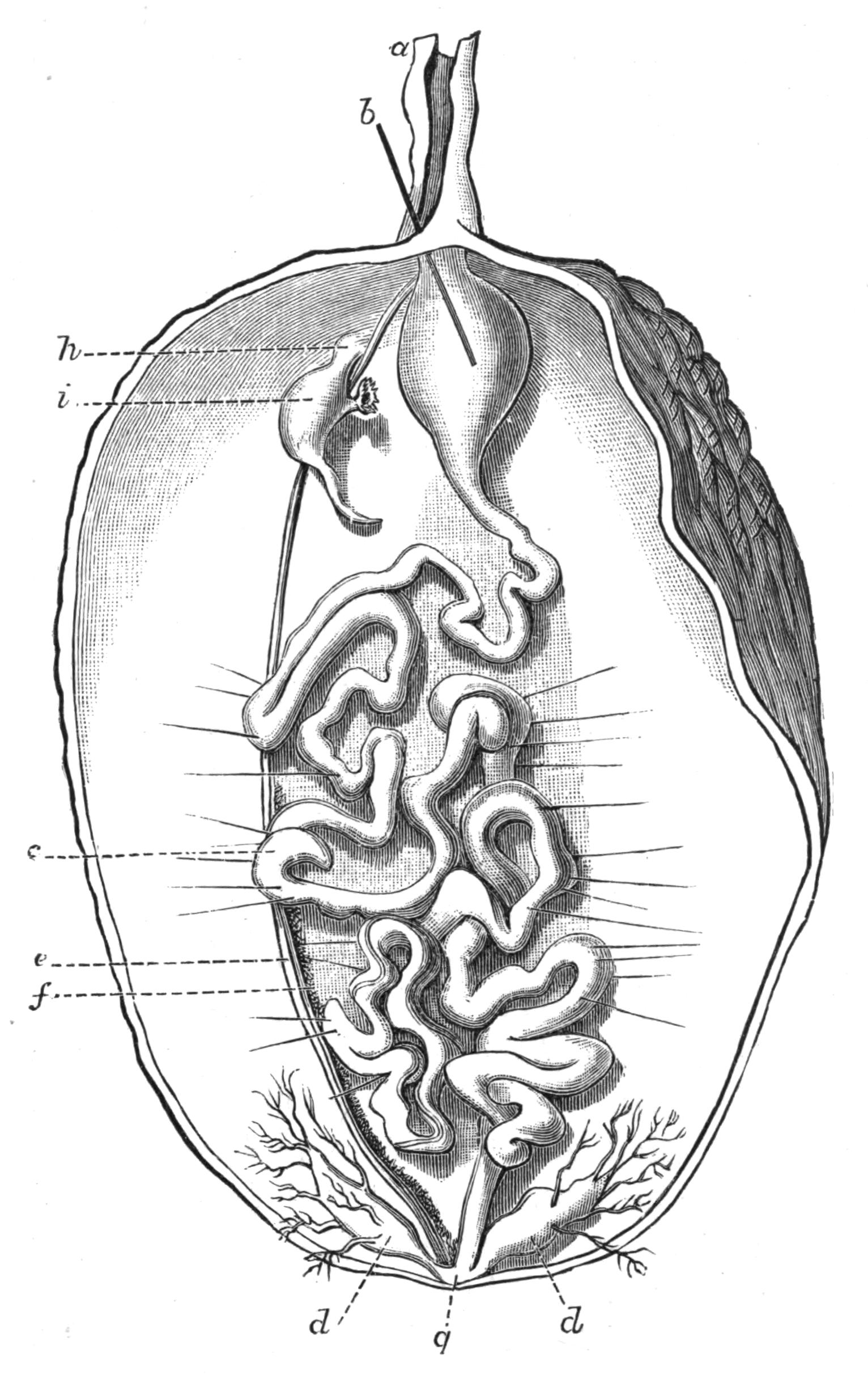 fig221