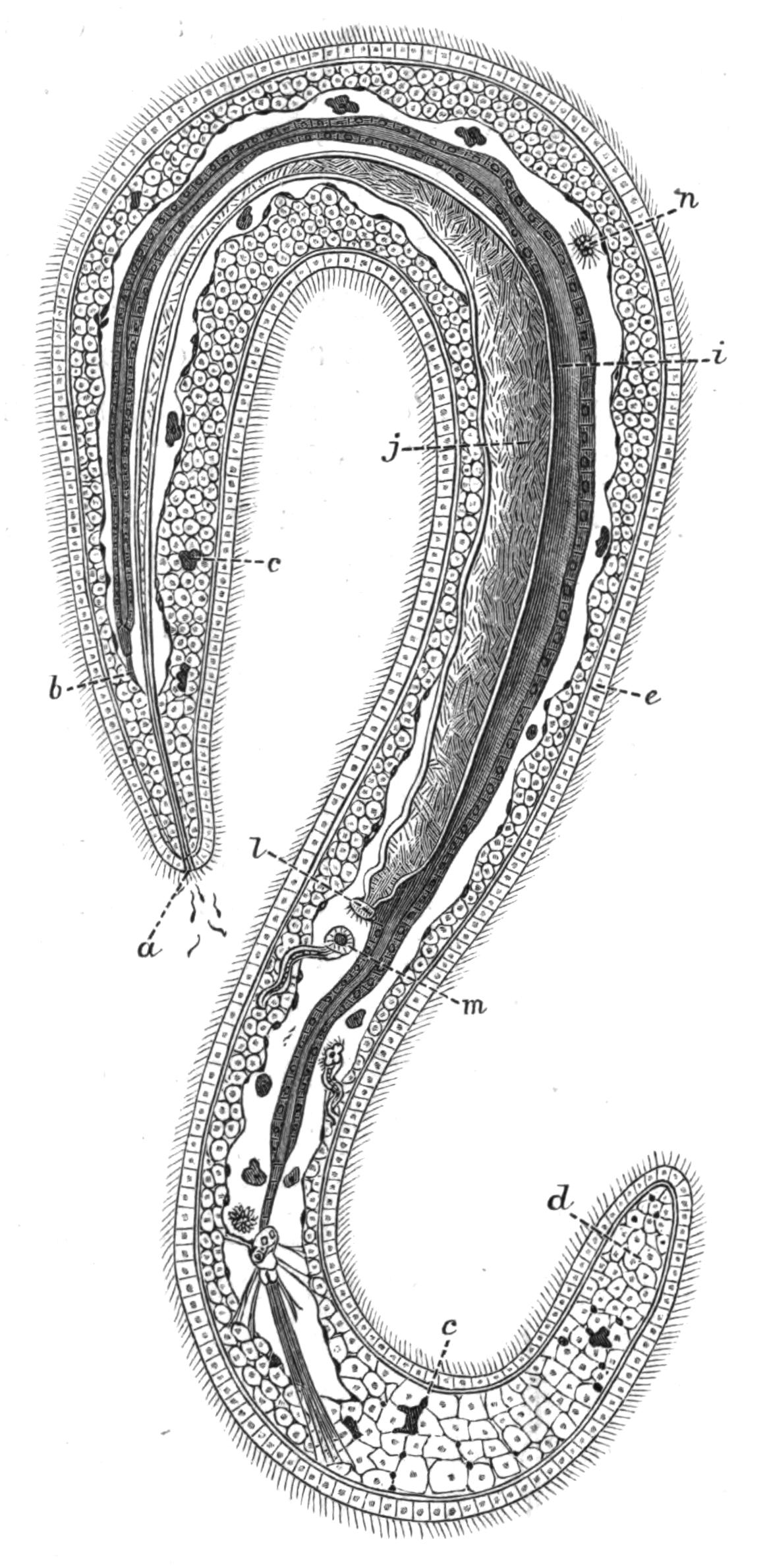 fig222