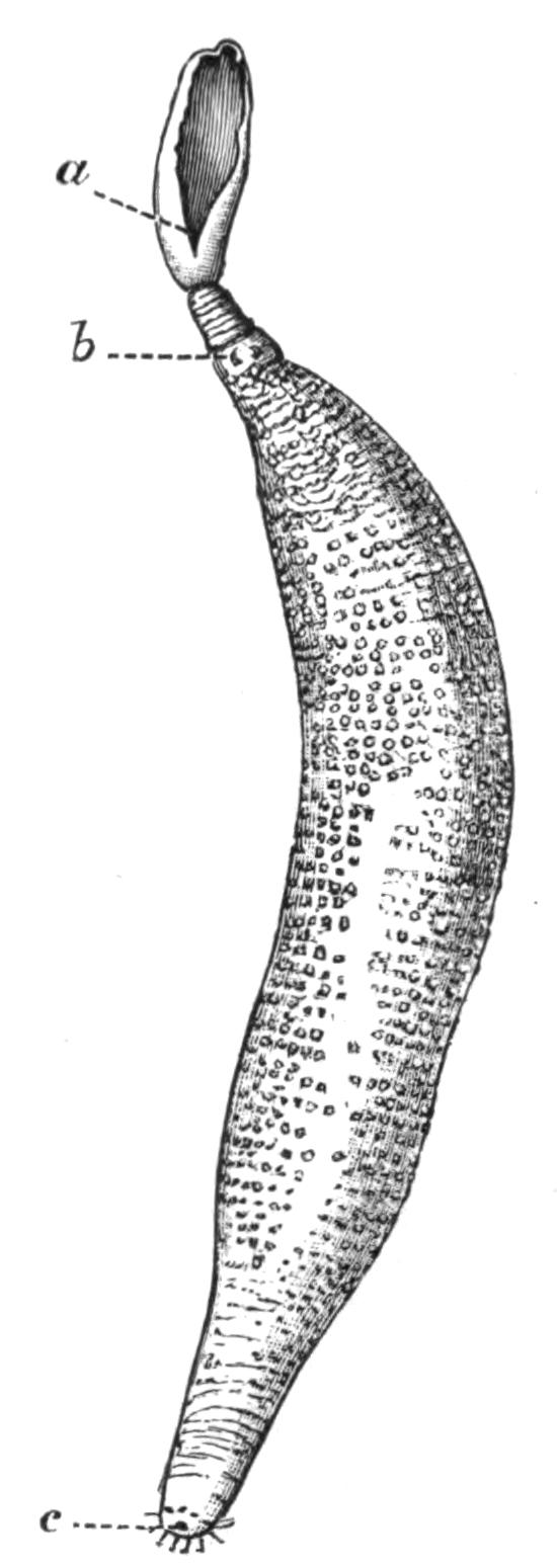 fig223