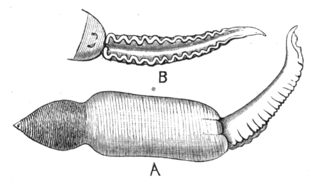 fig224