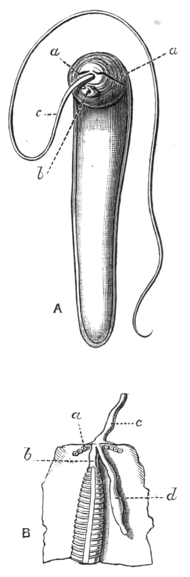 fig225