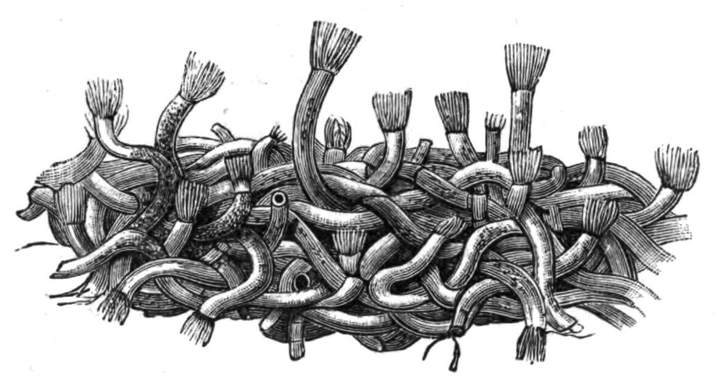 fig226