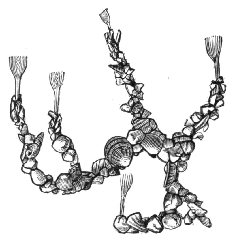 fig227