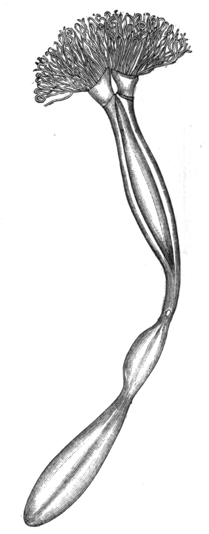 fig228