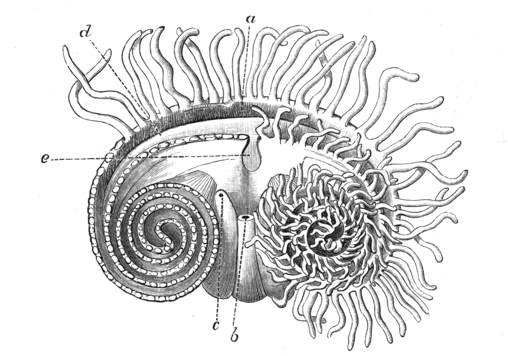 fig229
