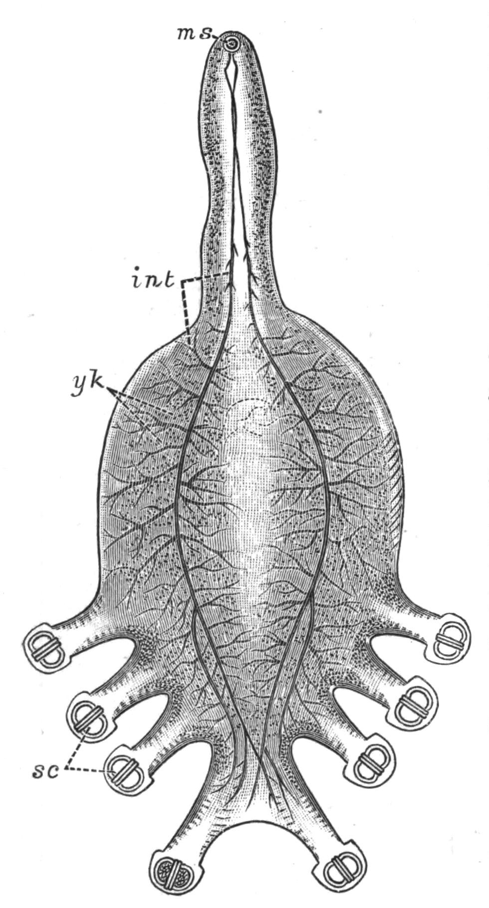 fig23