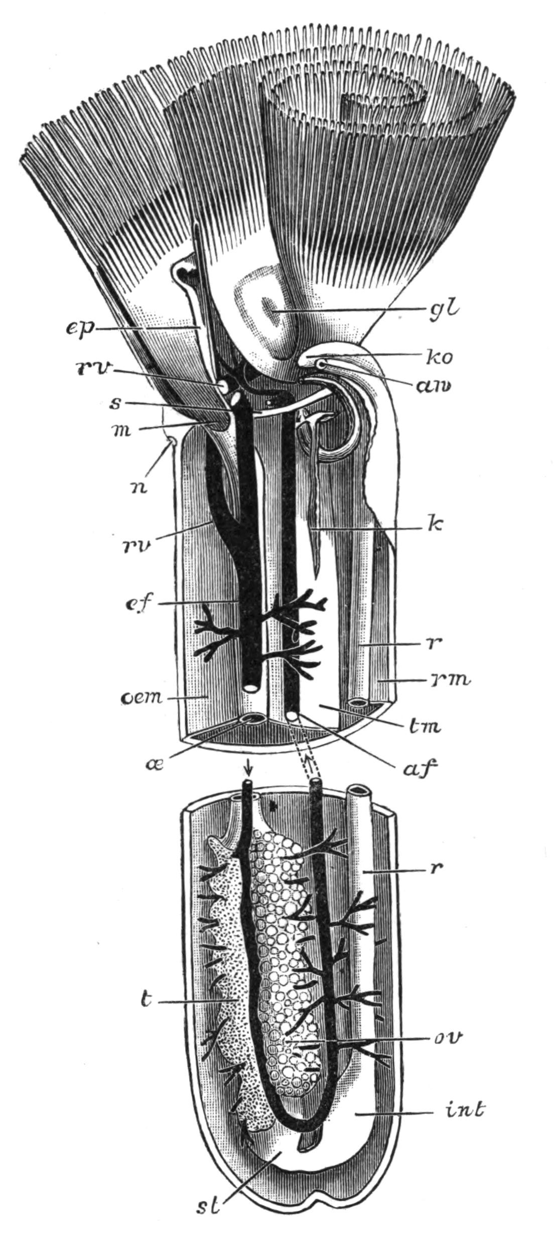 fig230
