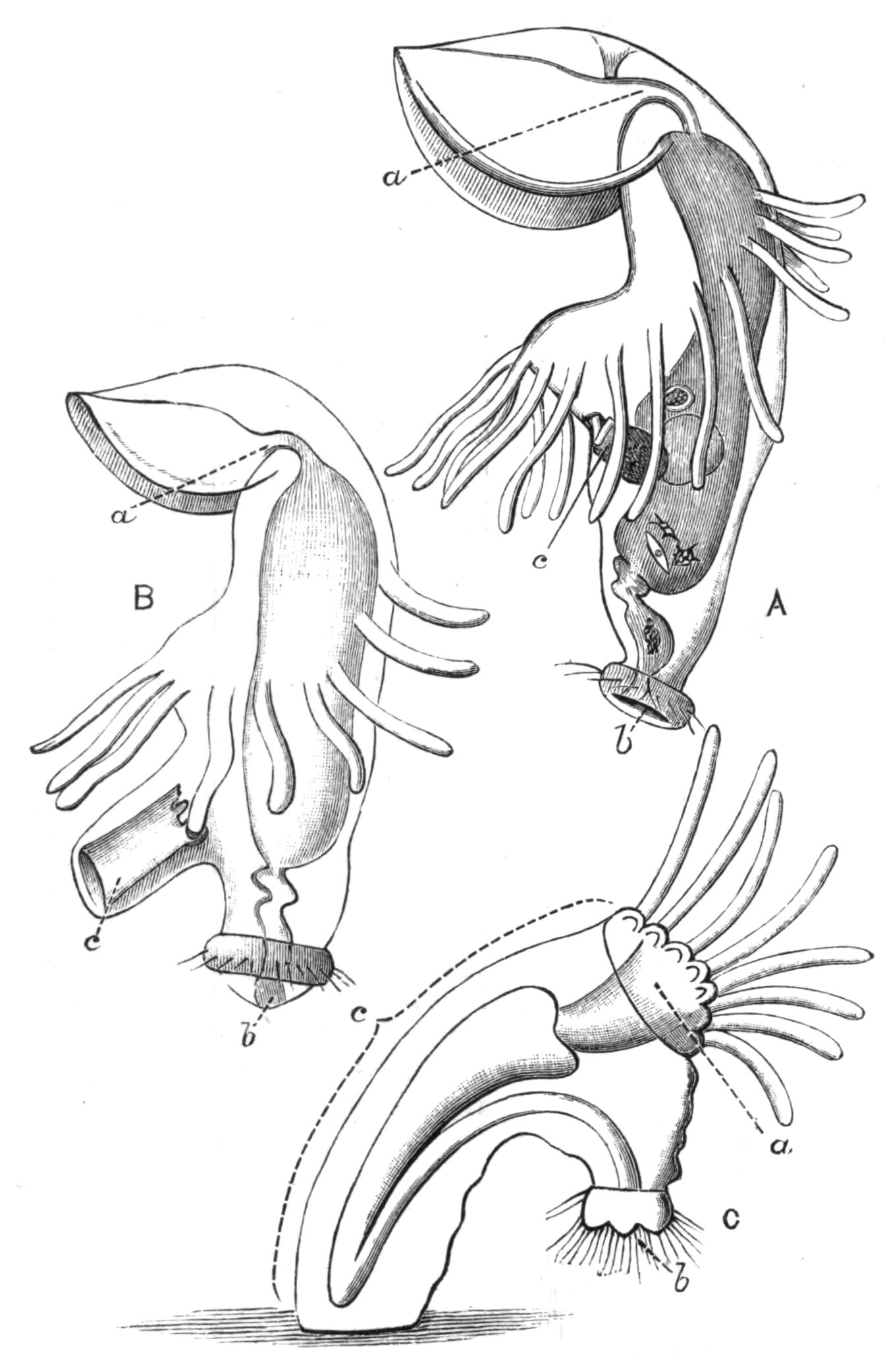 fig231