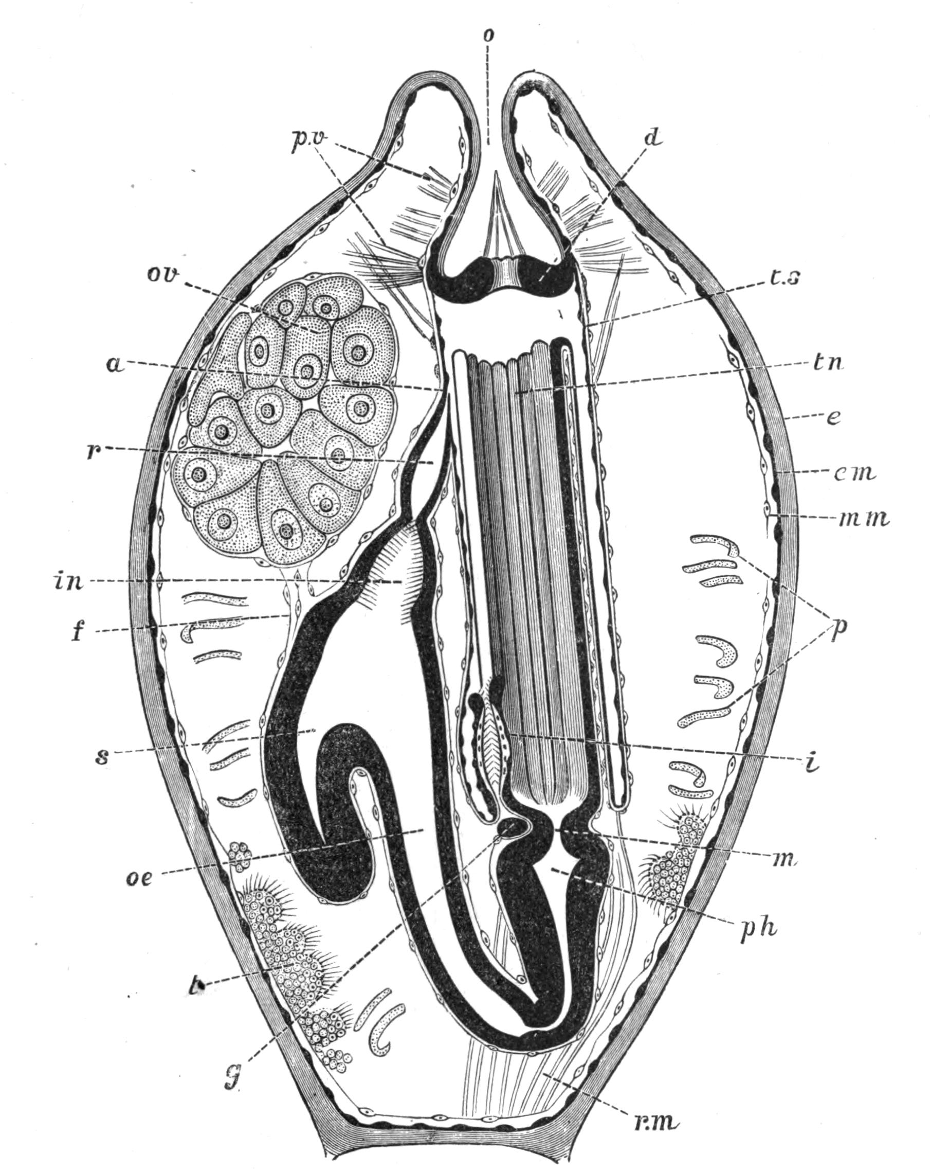 fig234