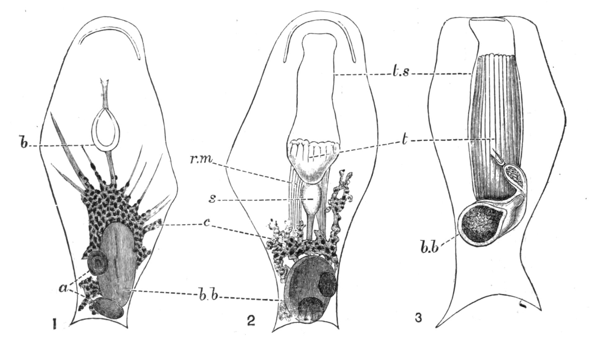 fig235