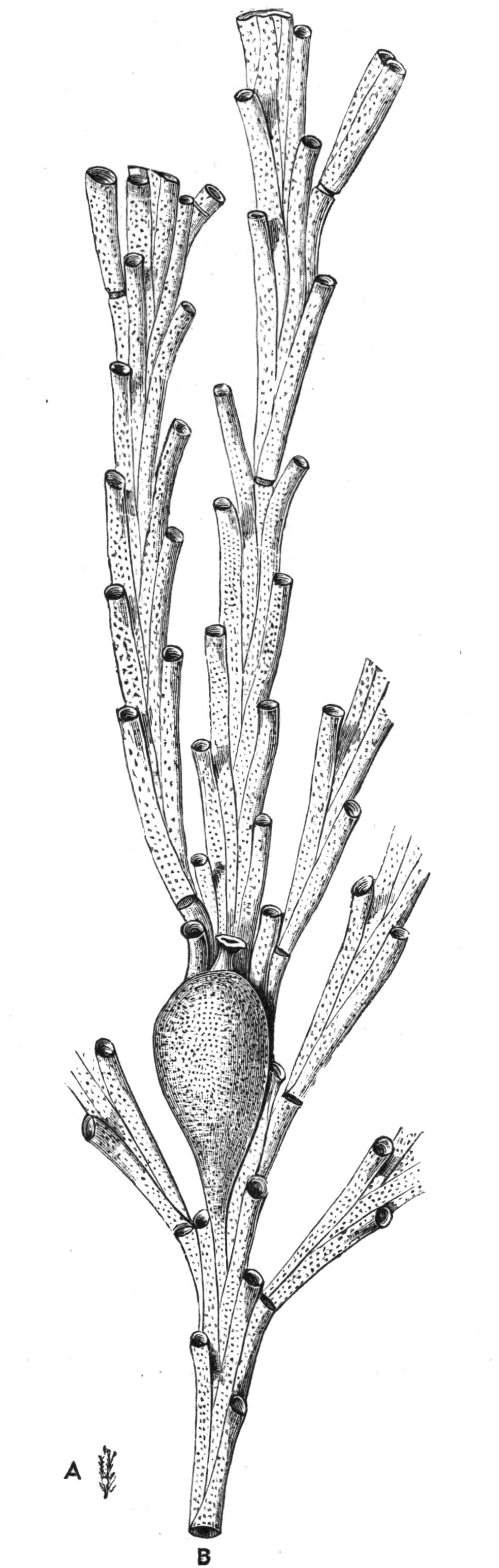 fig237