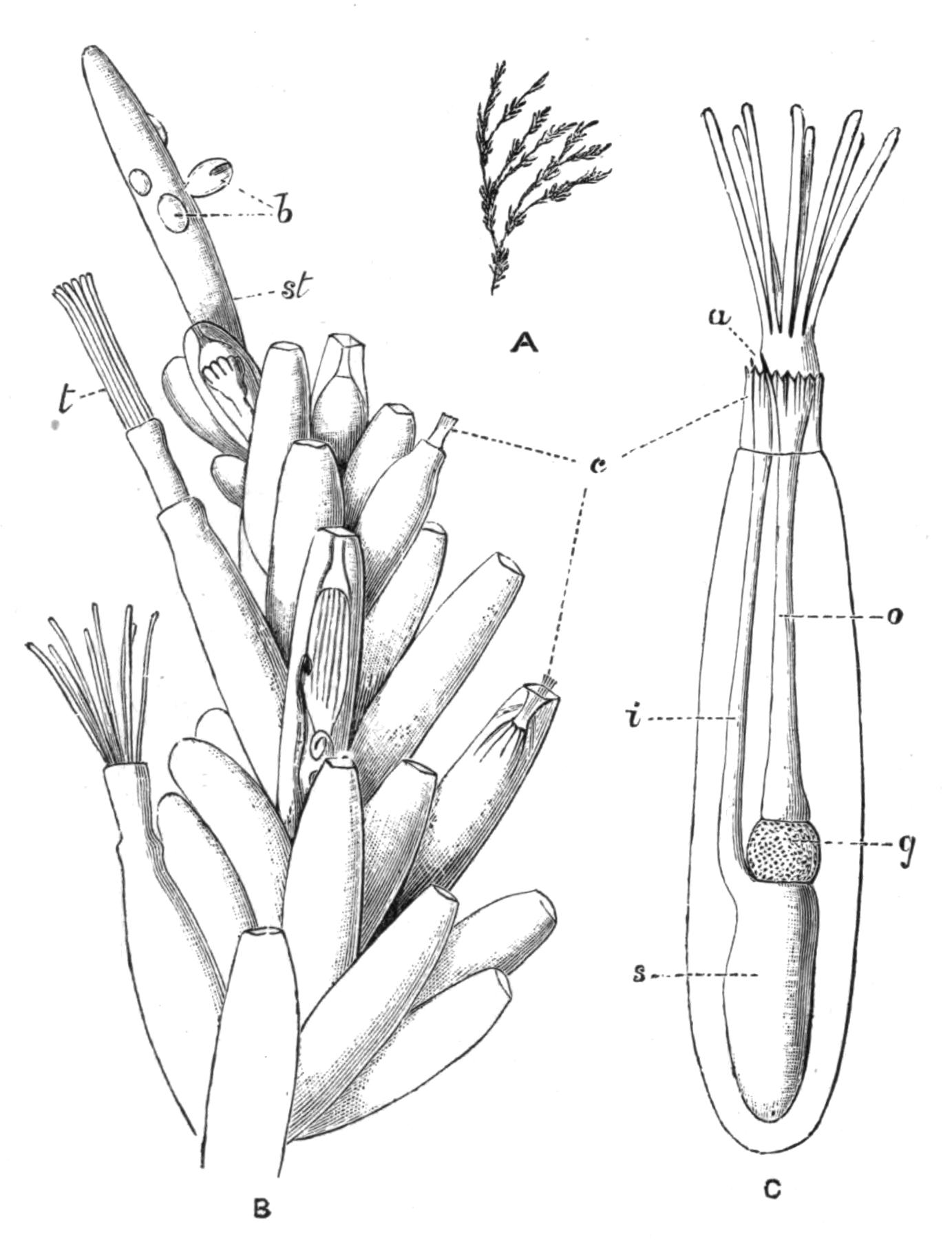 fig238