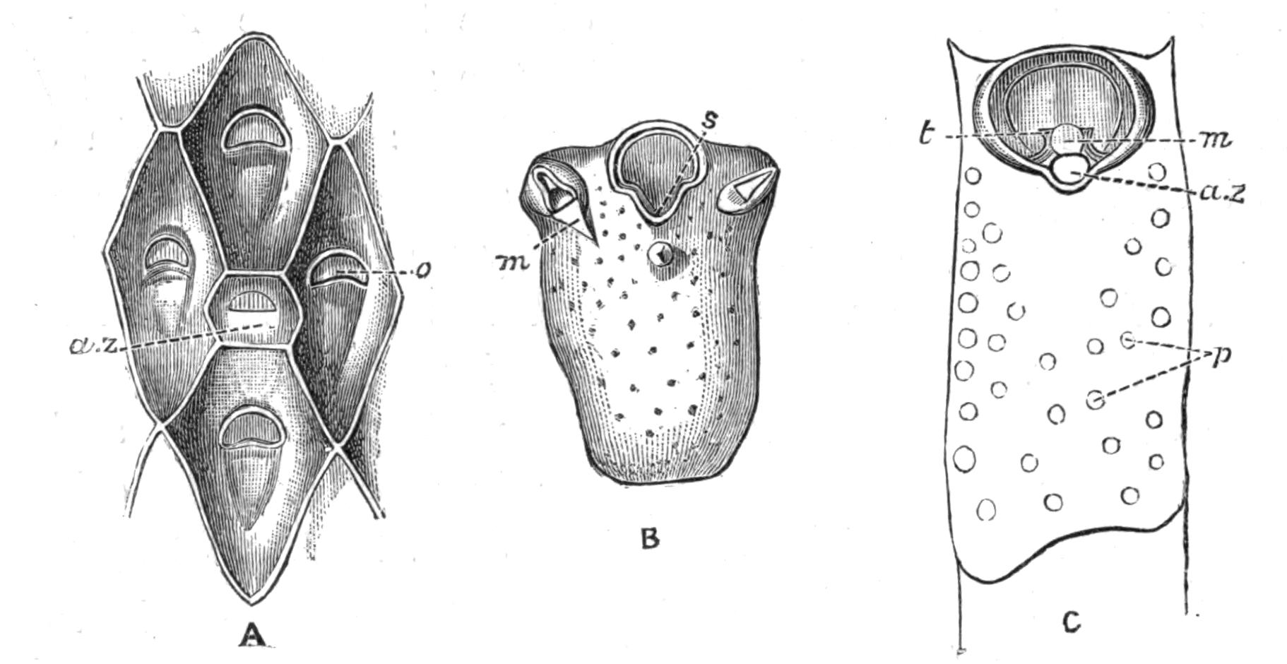 fig239