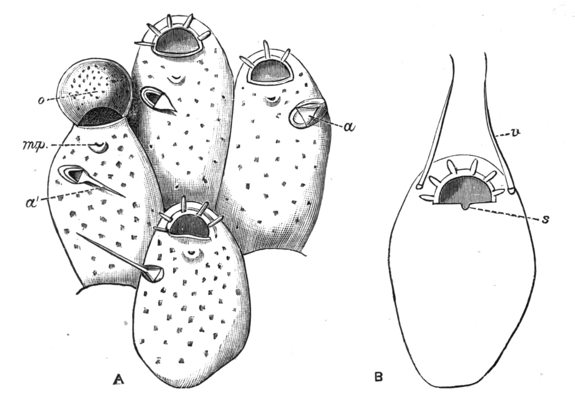 fig241