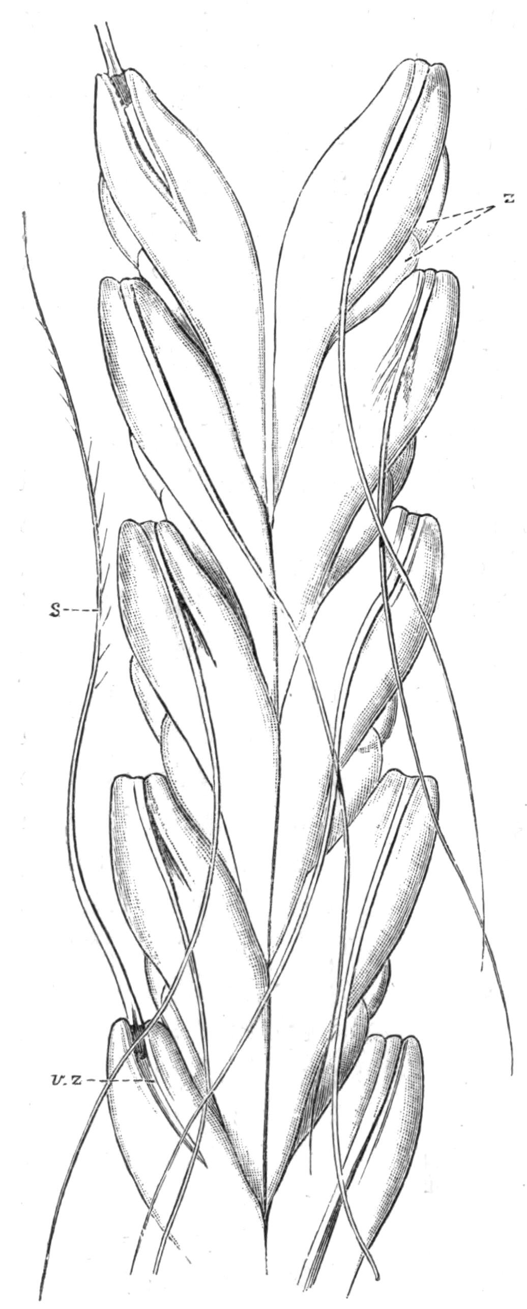 fig242