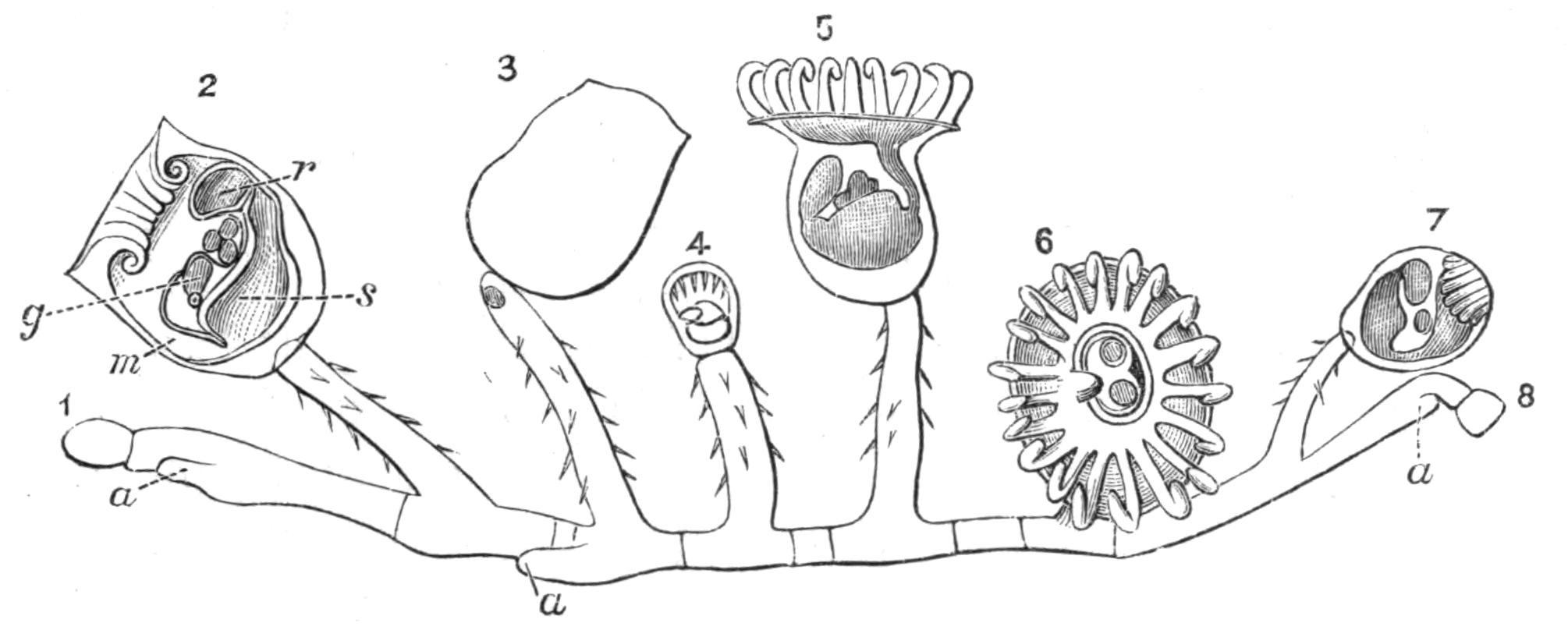 fig243
