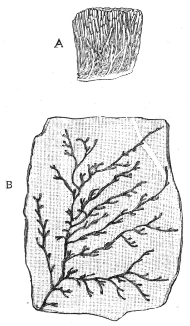 fig246