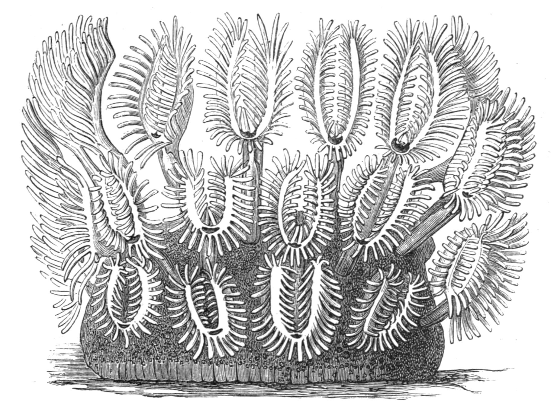fig247