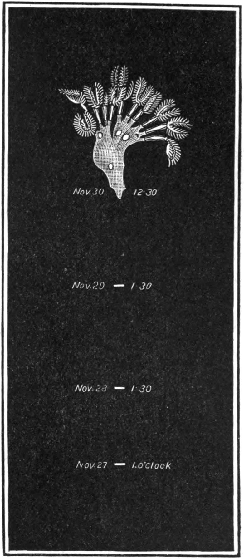 fig248