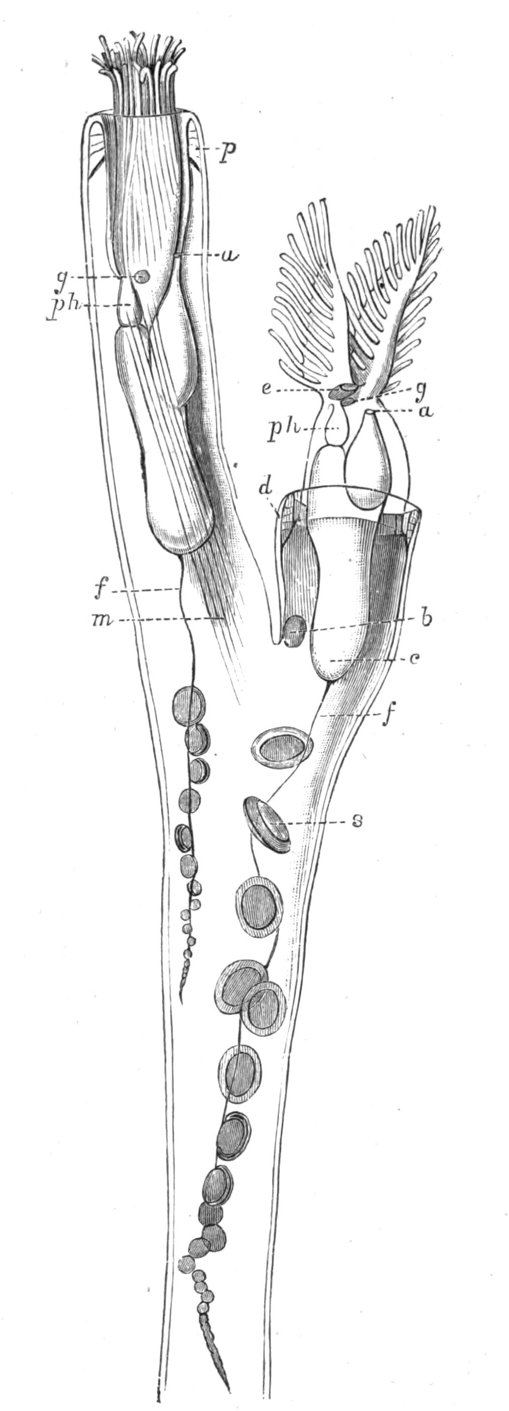 fig249