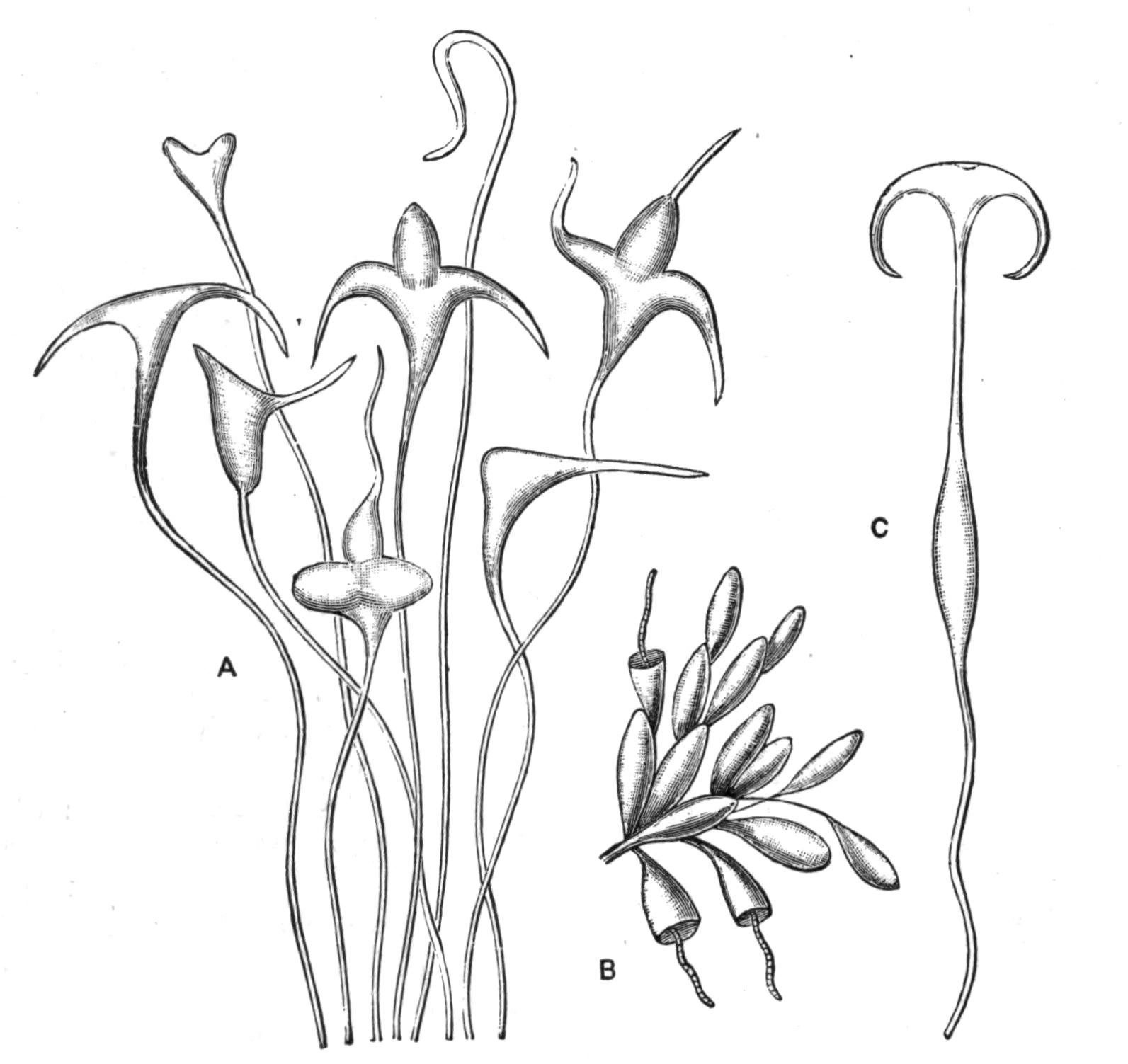 fig25