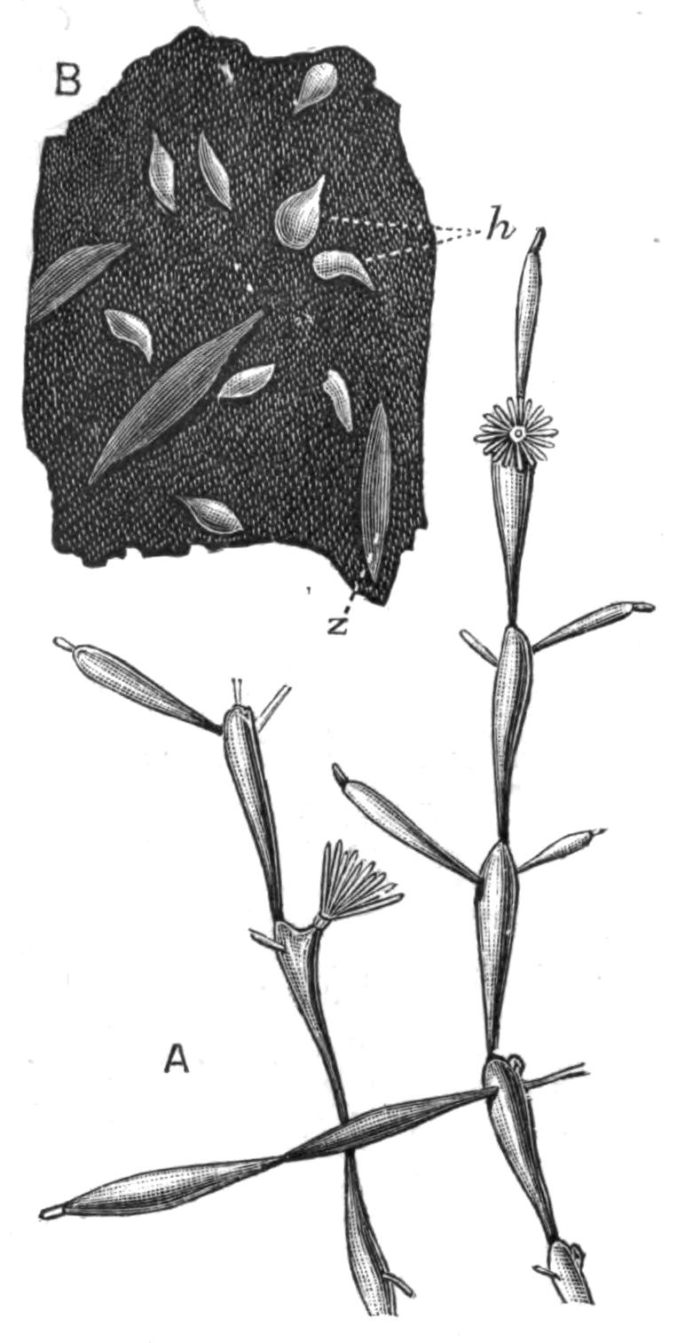 fig250