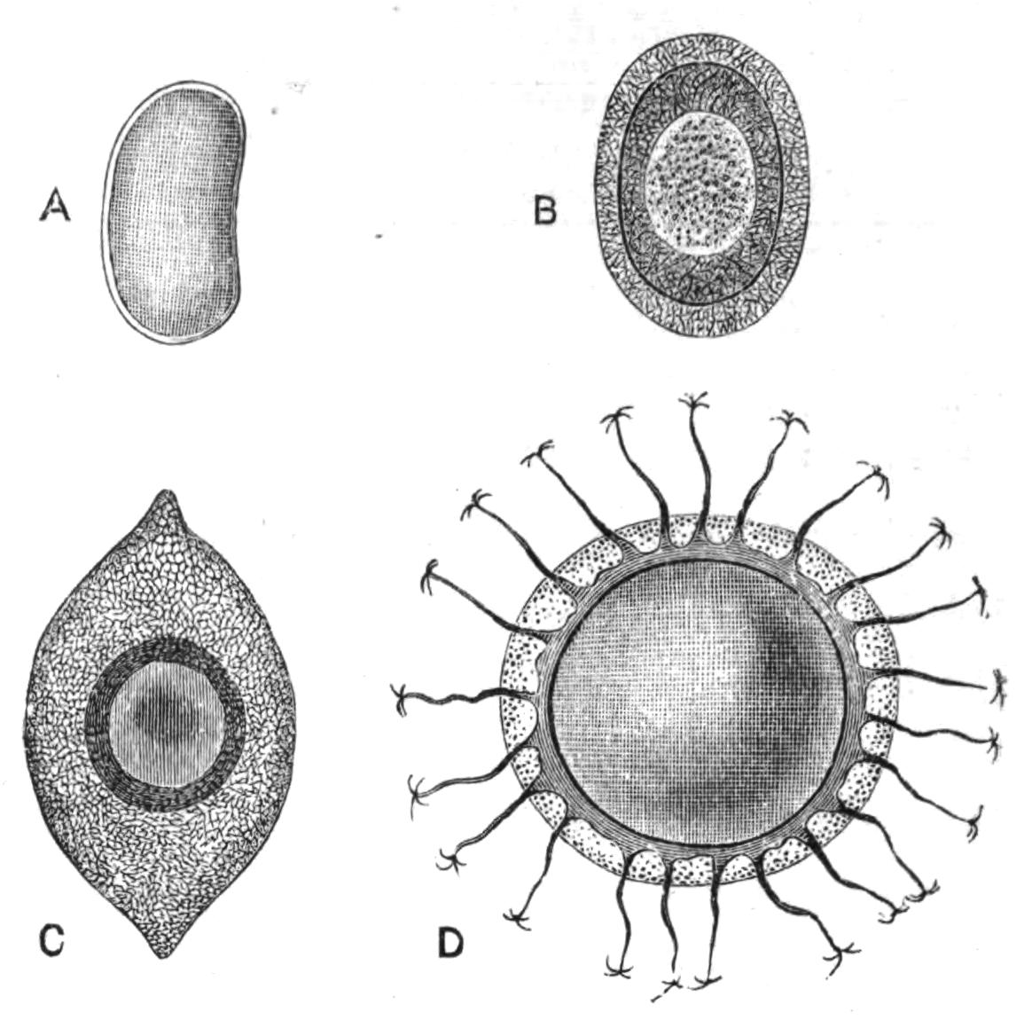 fig251