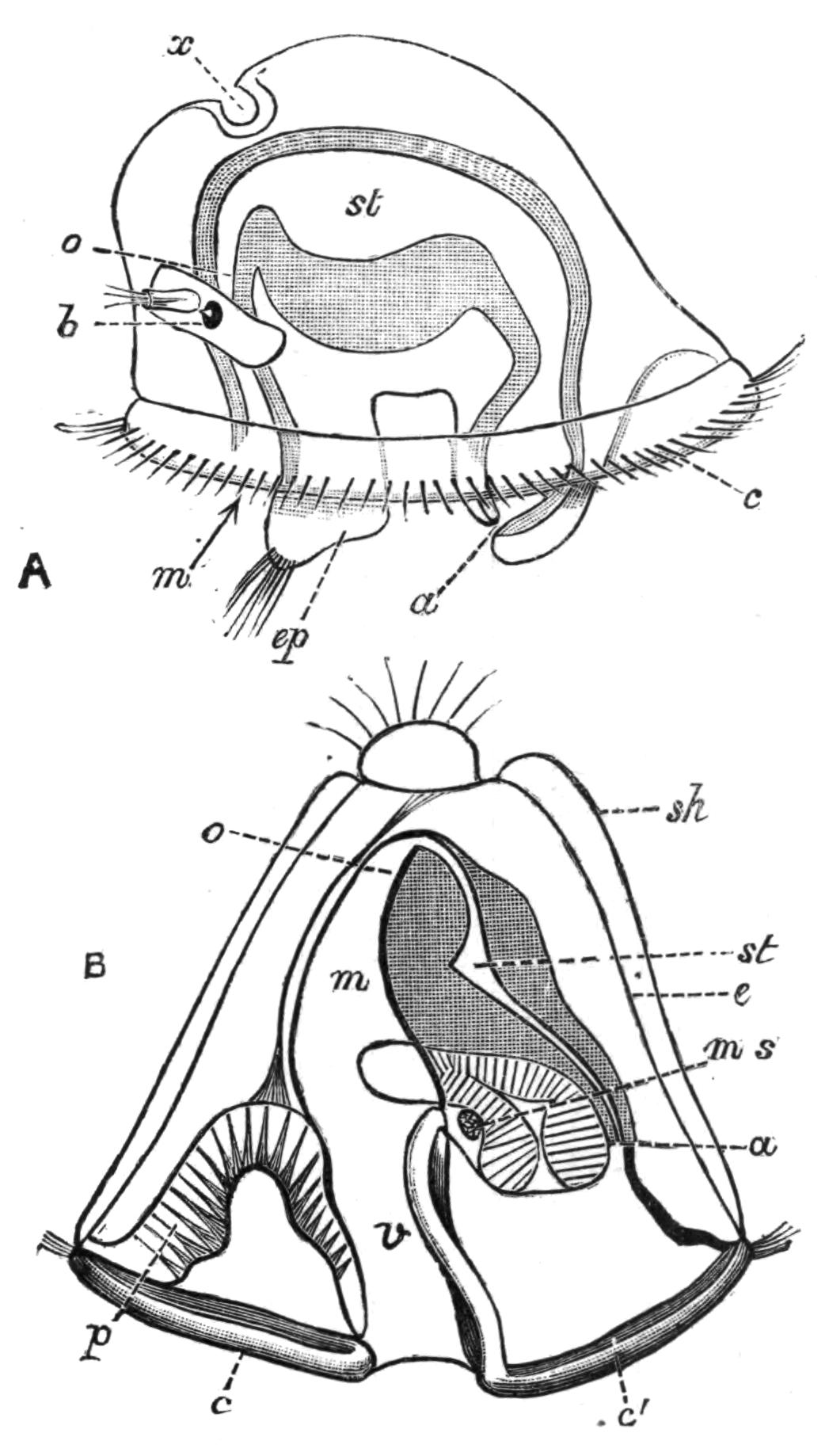 fig252