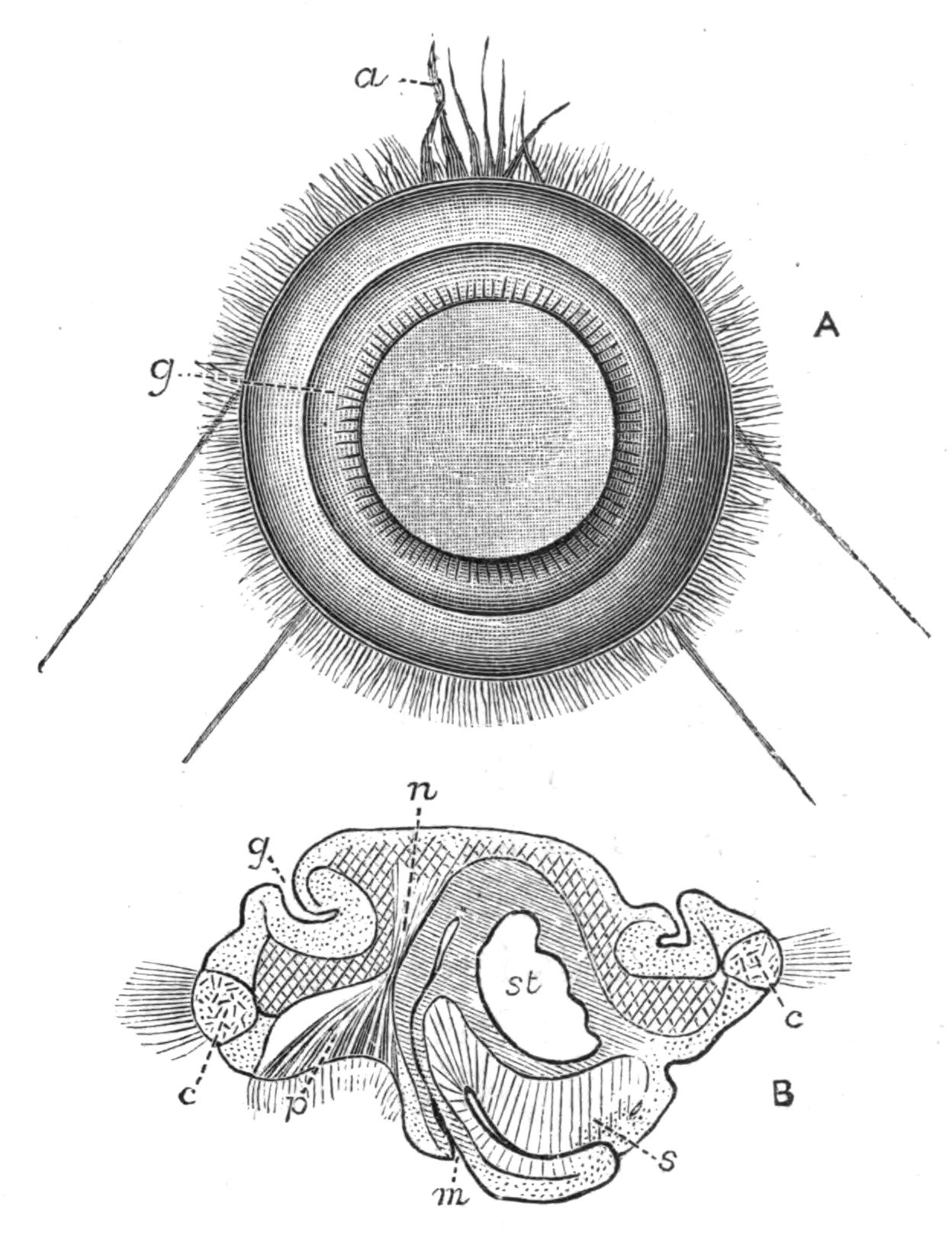fig253