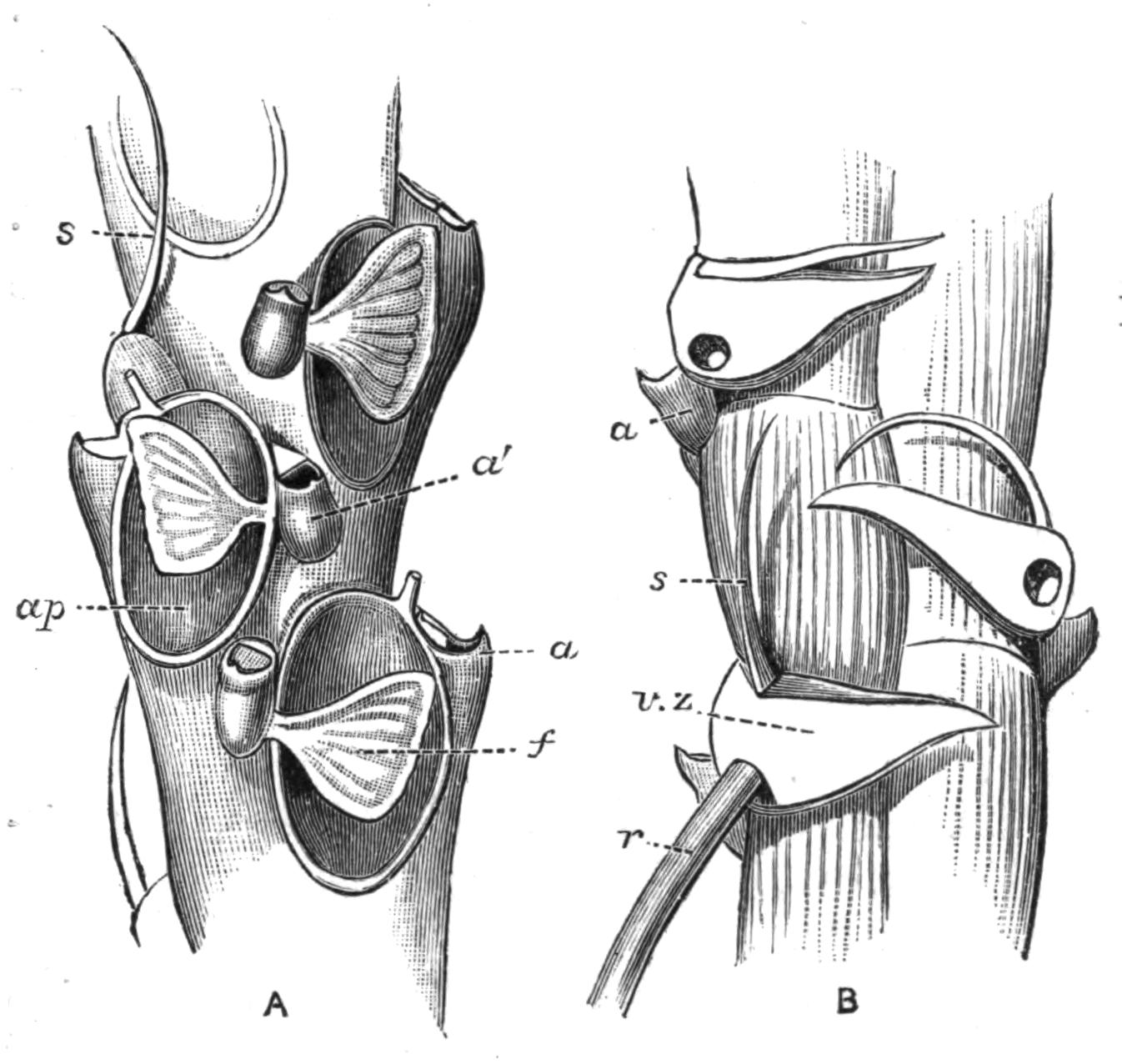 fig254
