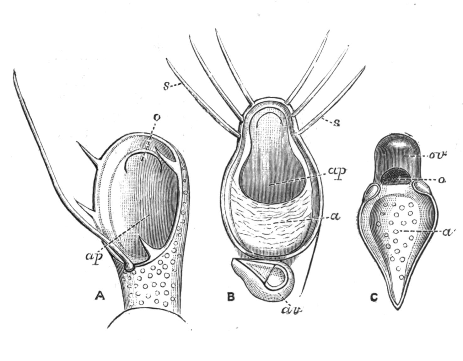 fig256