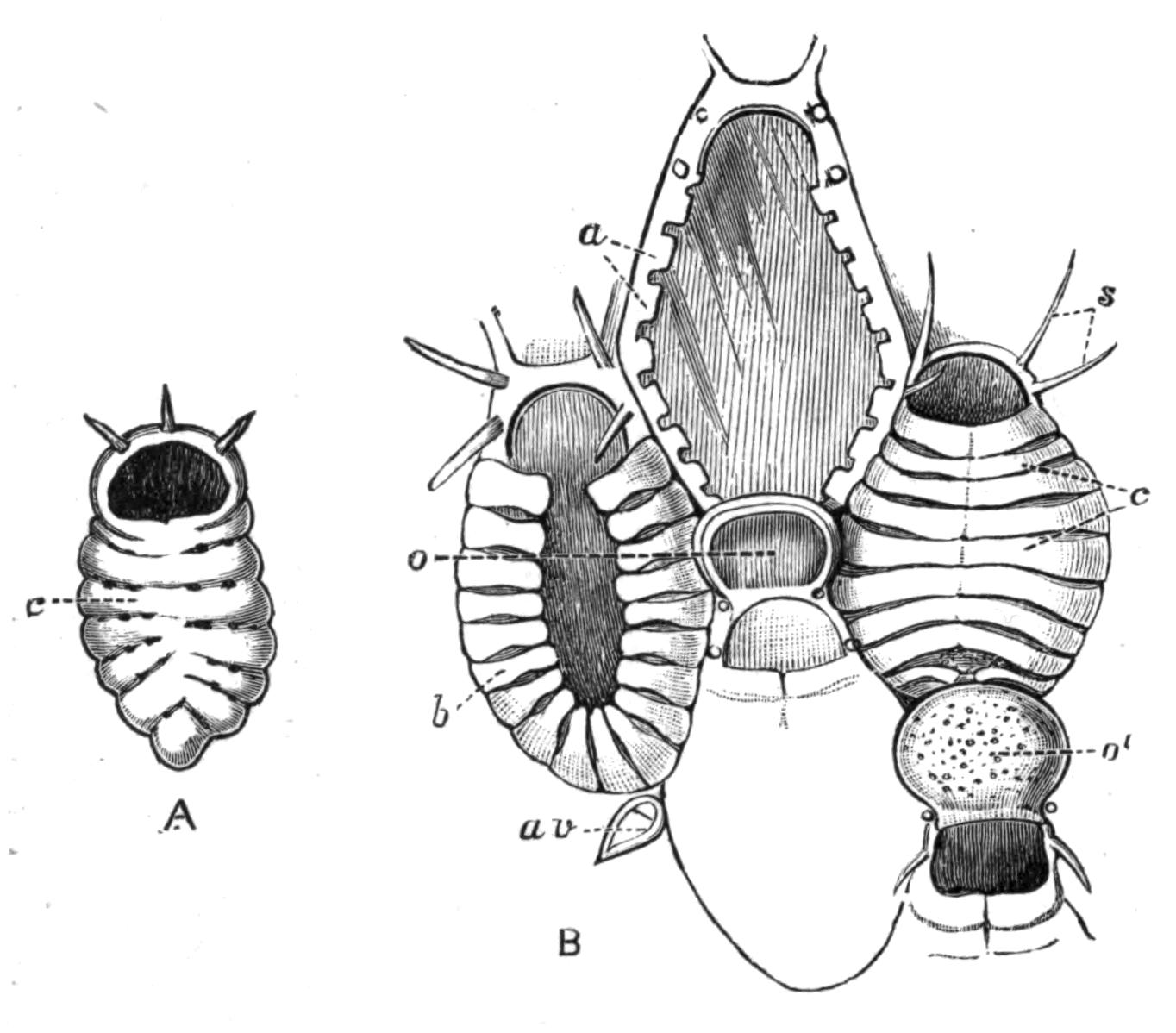 fig257