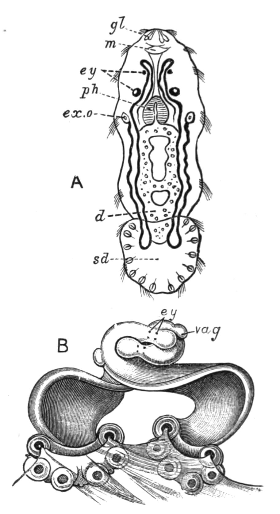 fig26