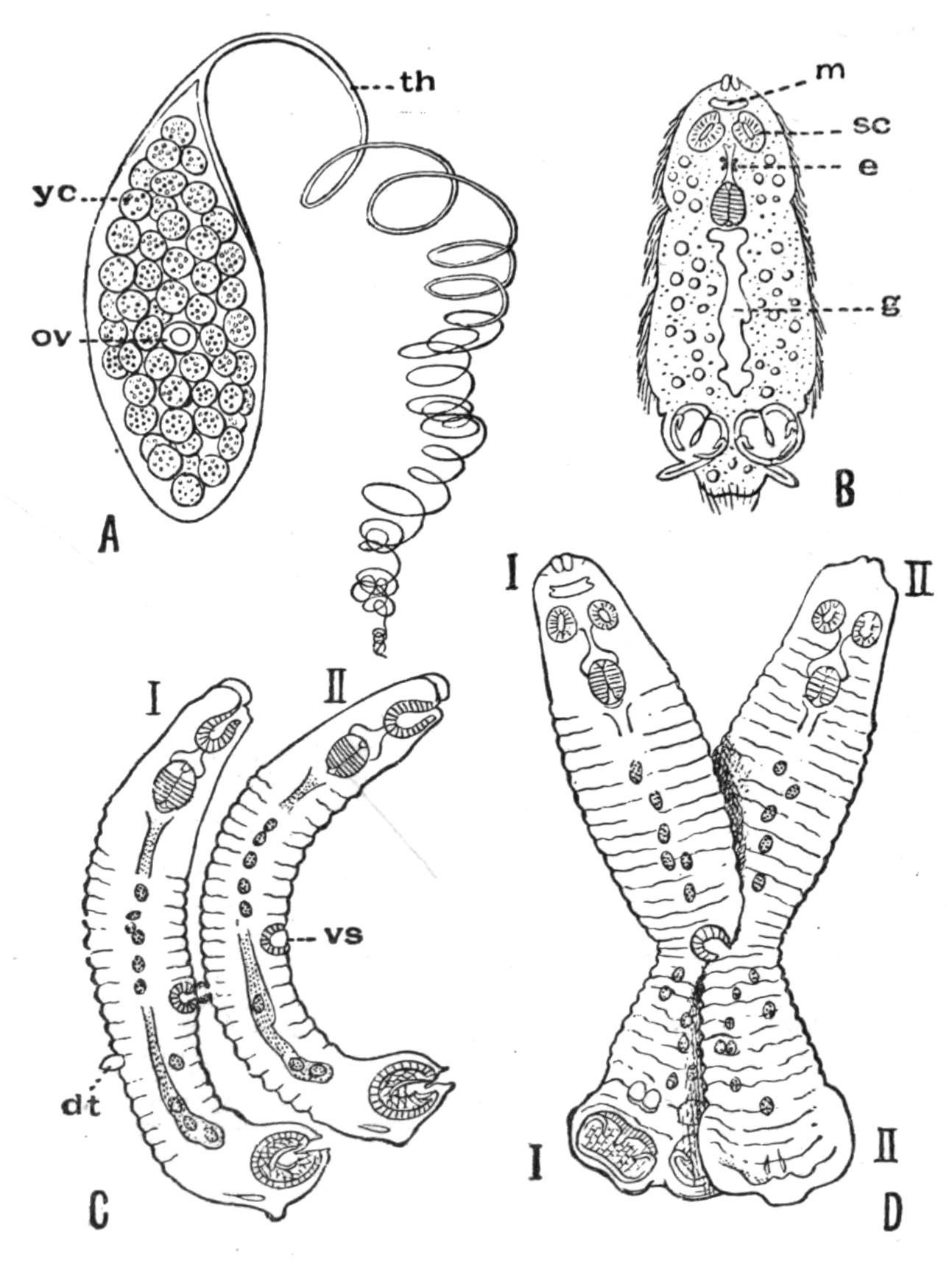 fig27