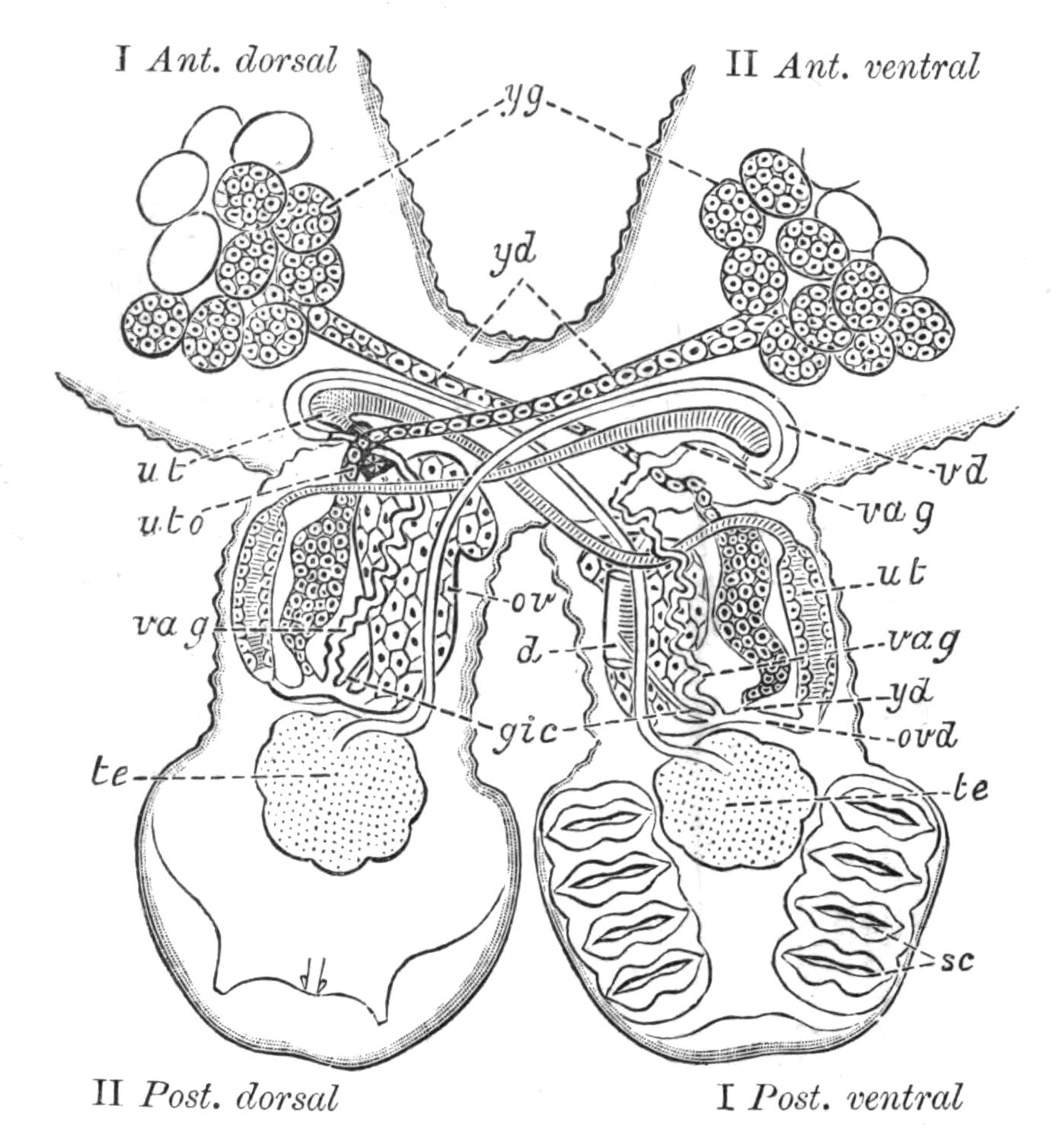 fig28