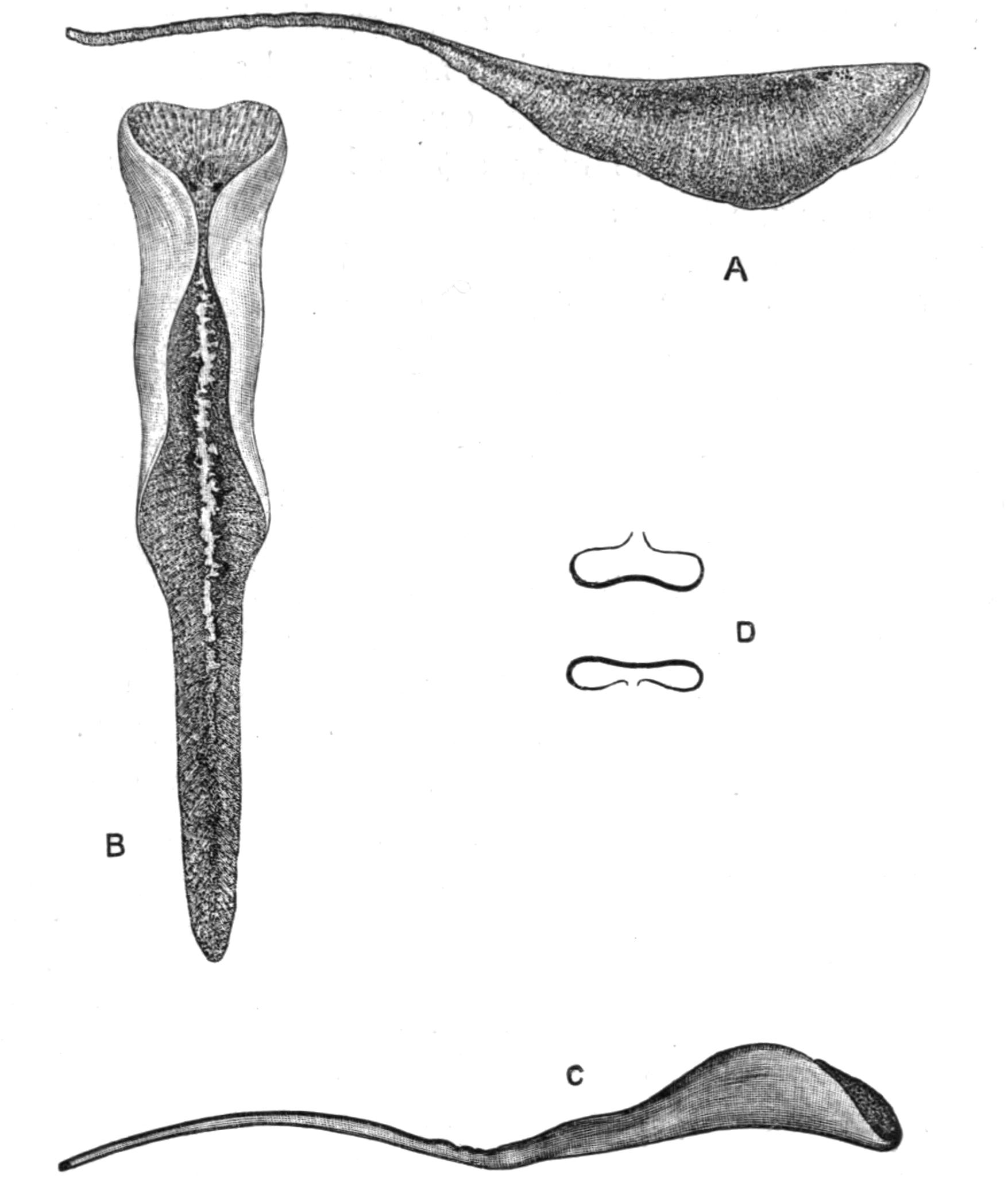 fig3
