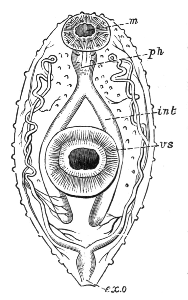 fig30