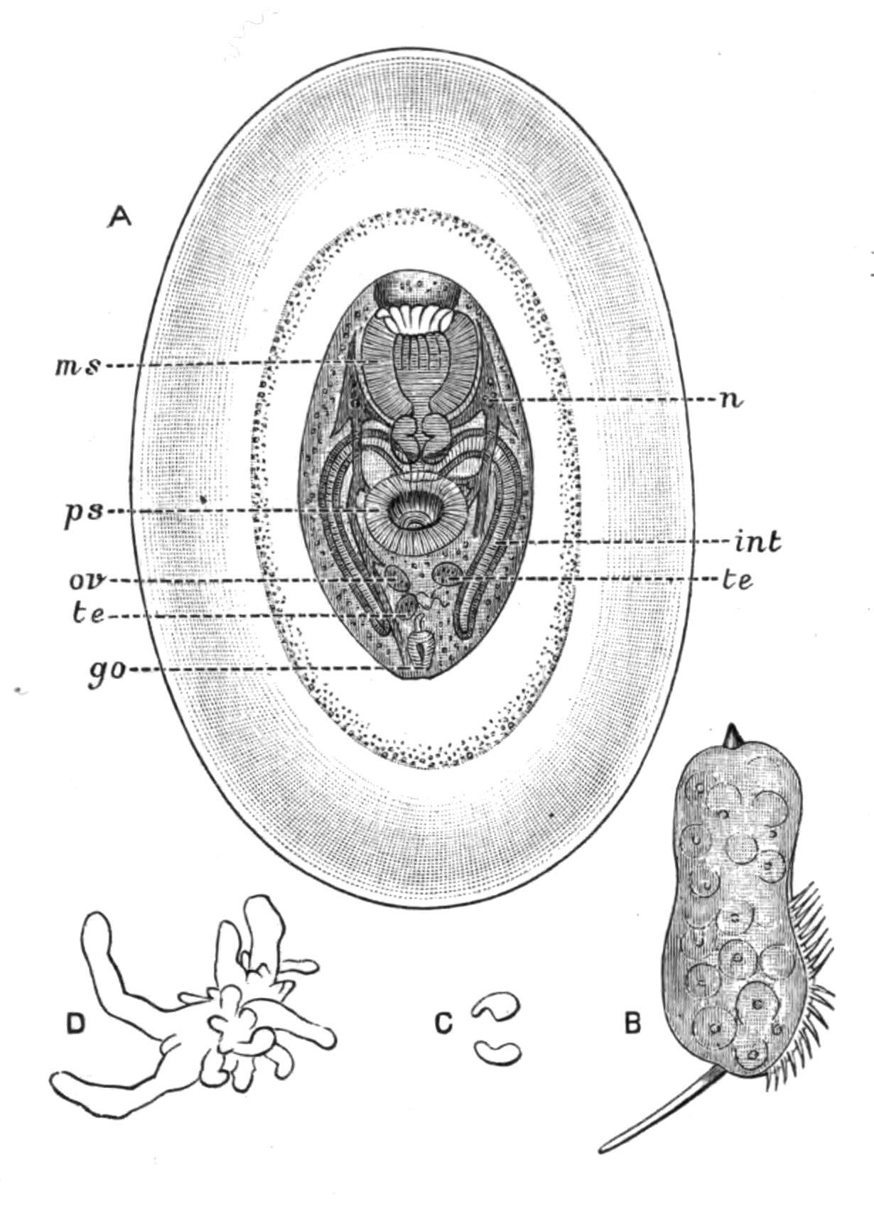 fig32