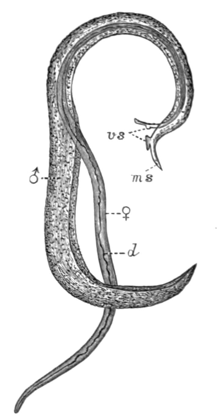 fig34