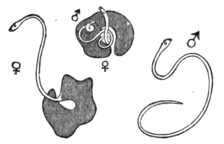 fig35
