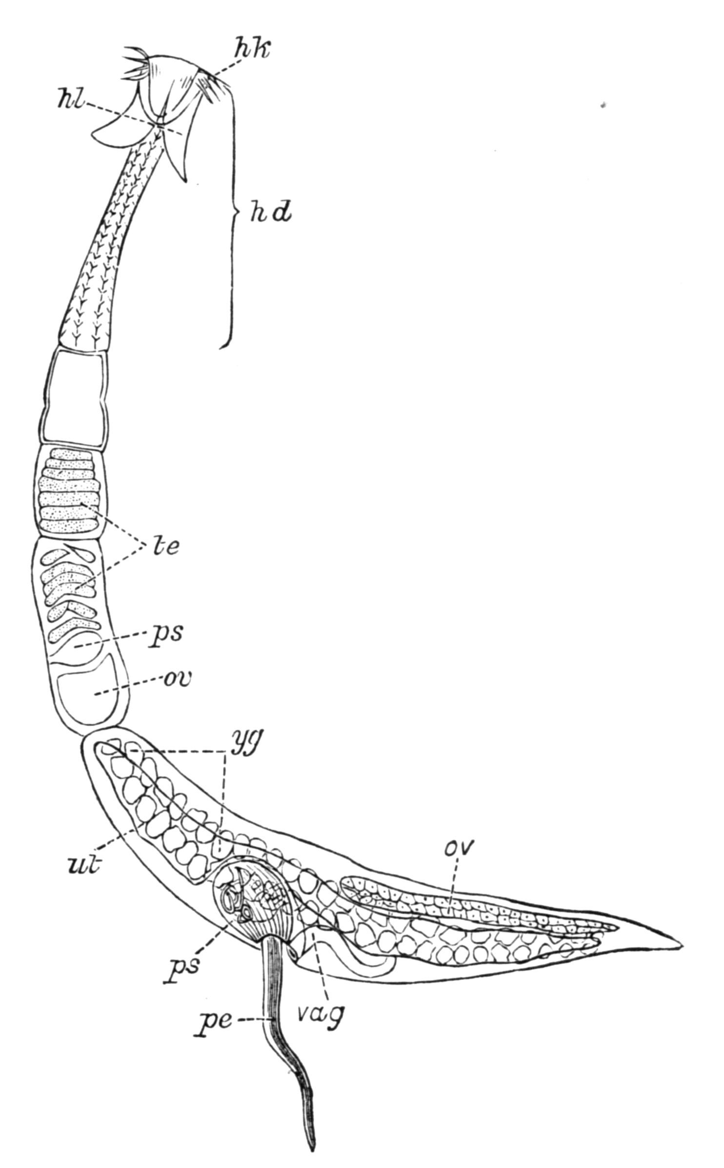 fig36