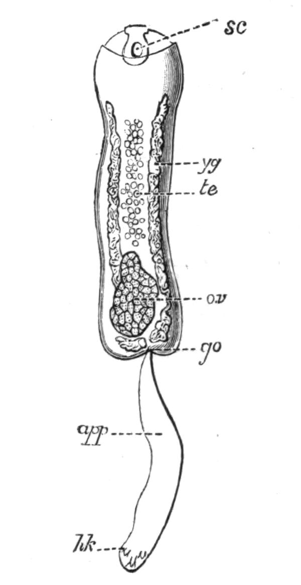 fig37