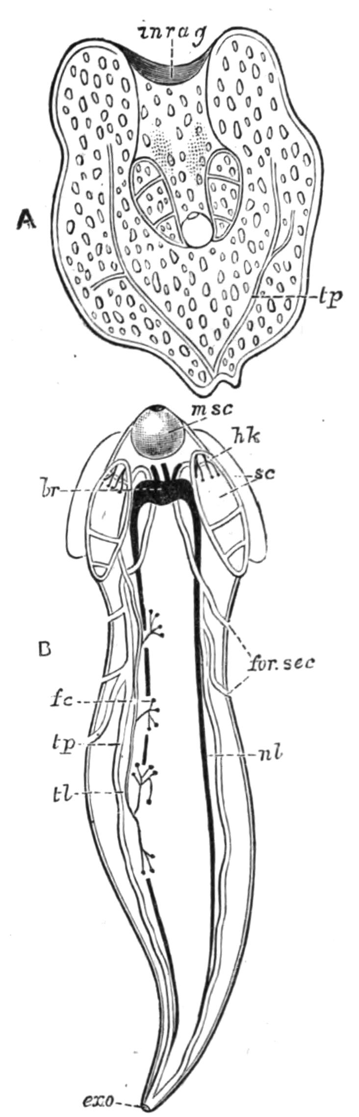fig38