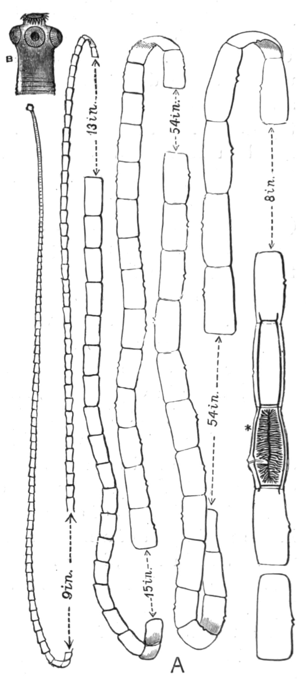 fig39