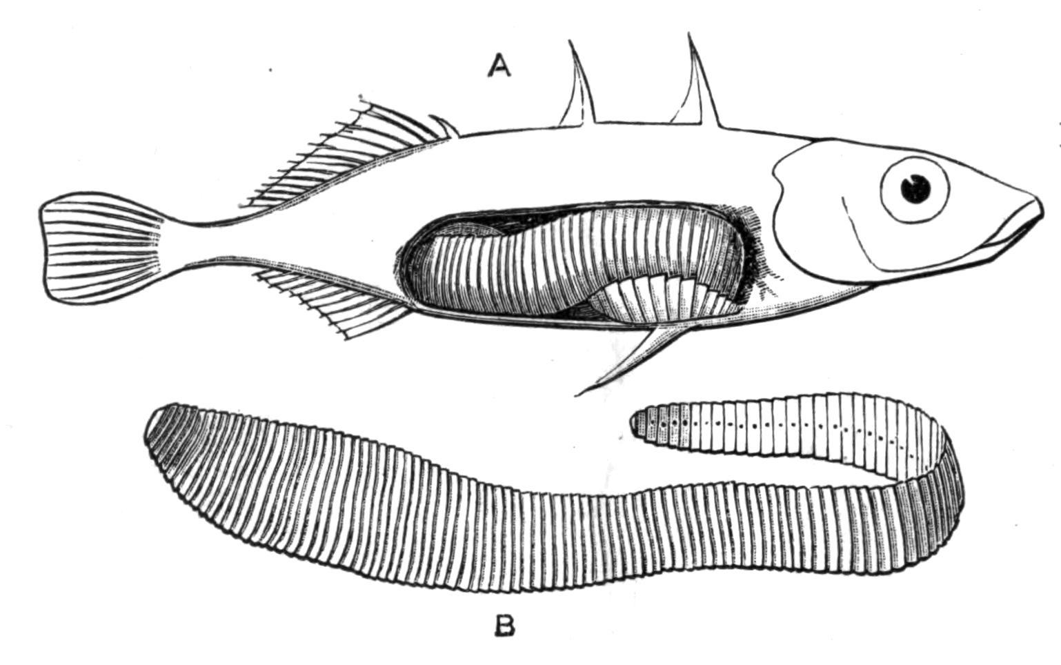 fig40